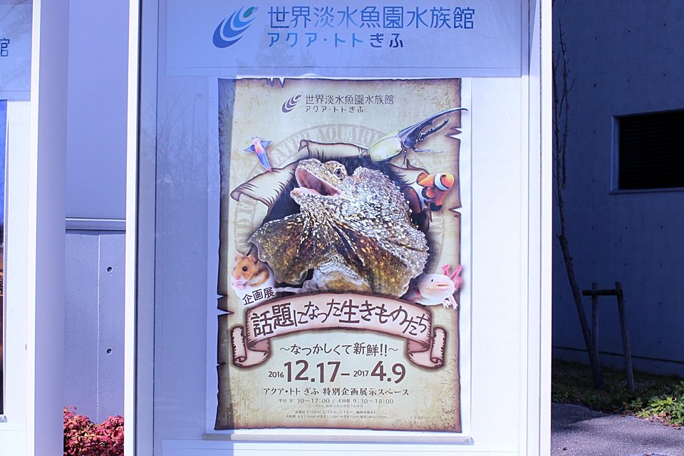 世界淡水魚園水族館　アクア・トトぎふ　企画展